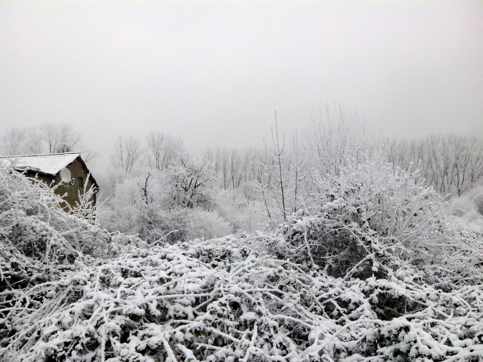 Winter snow winter landscape