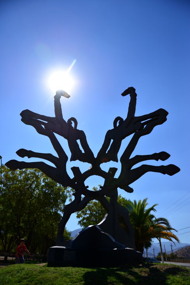 Silhouette guerrilla freedom