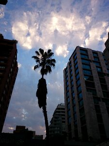Backlight santiago de chile city