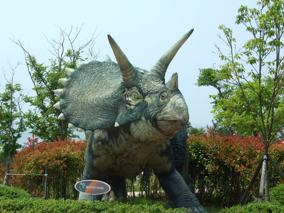 Dinosaur museum dinosaurs herbivorous
