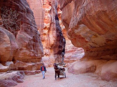 Petra day trip petra day