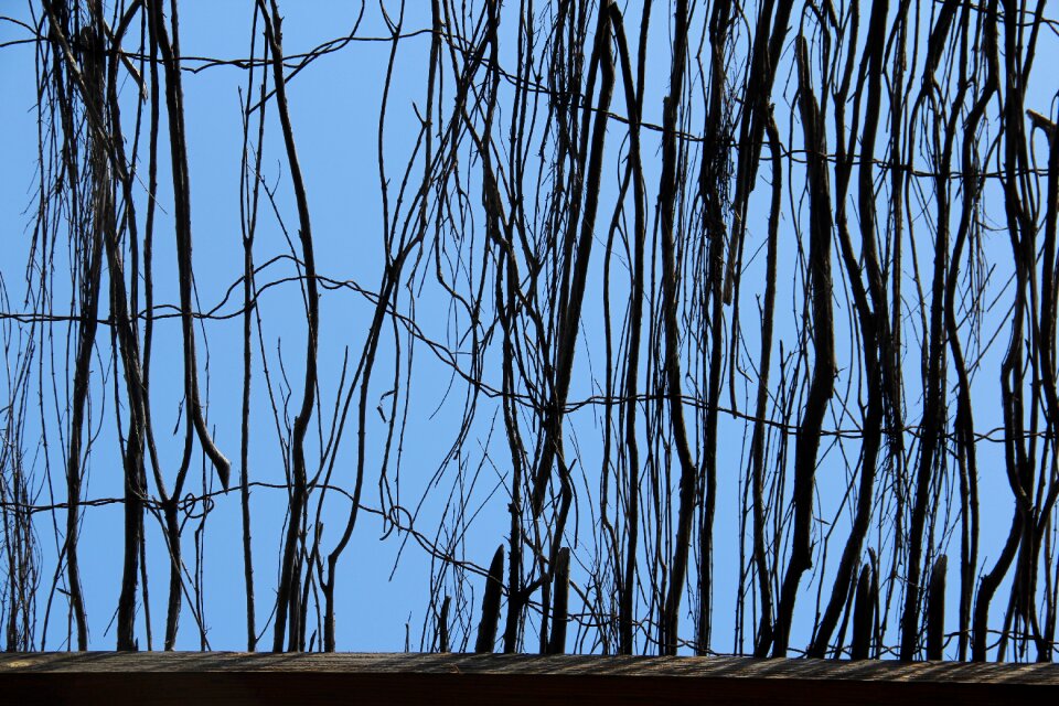 Fence texture background