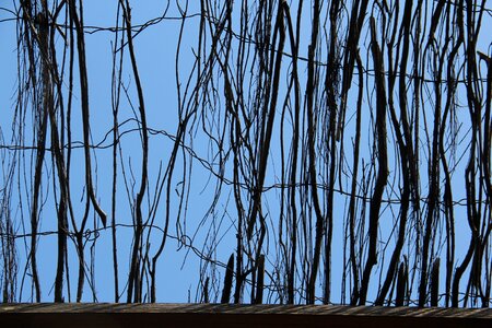 Fence texture background