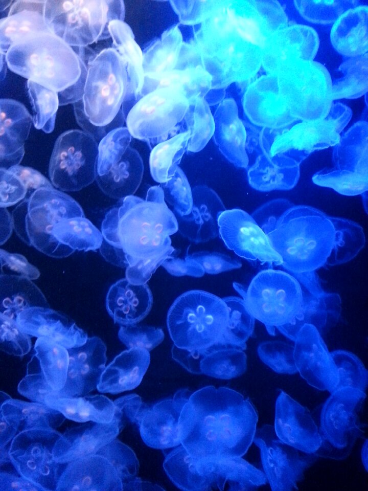 Ocean nature illuminated