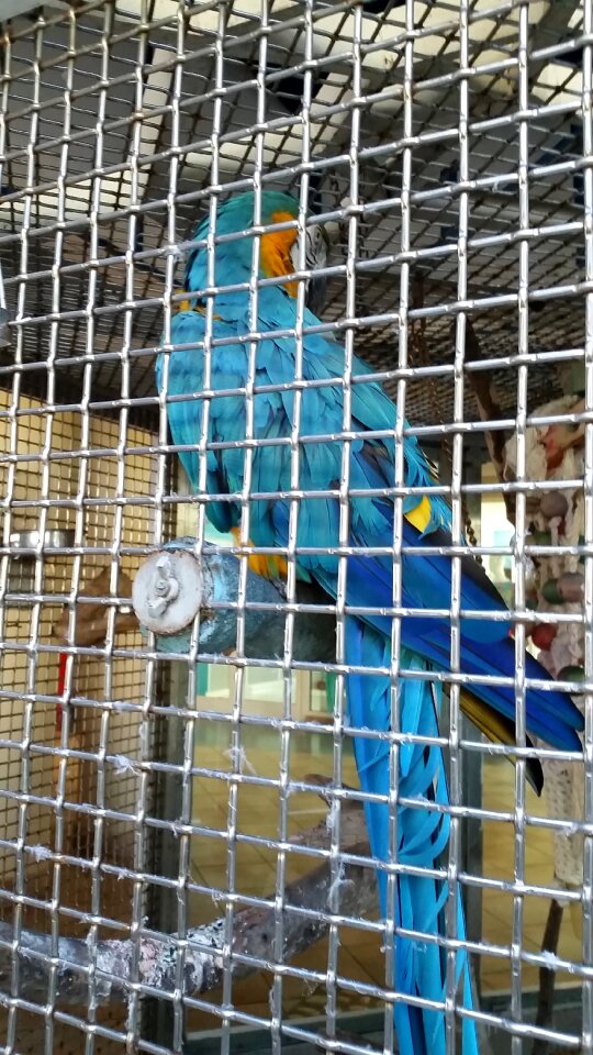 Captivity gray prison