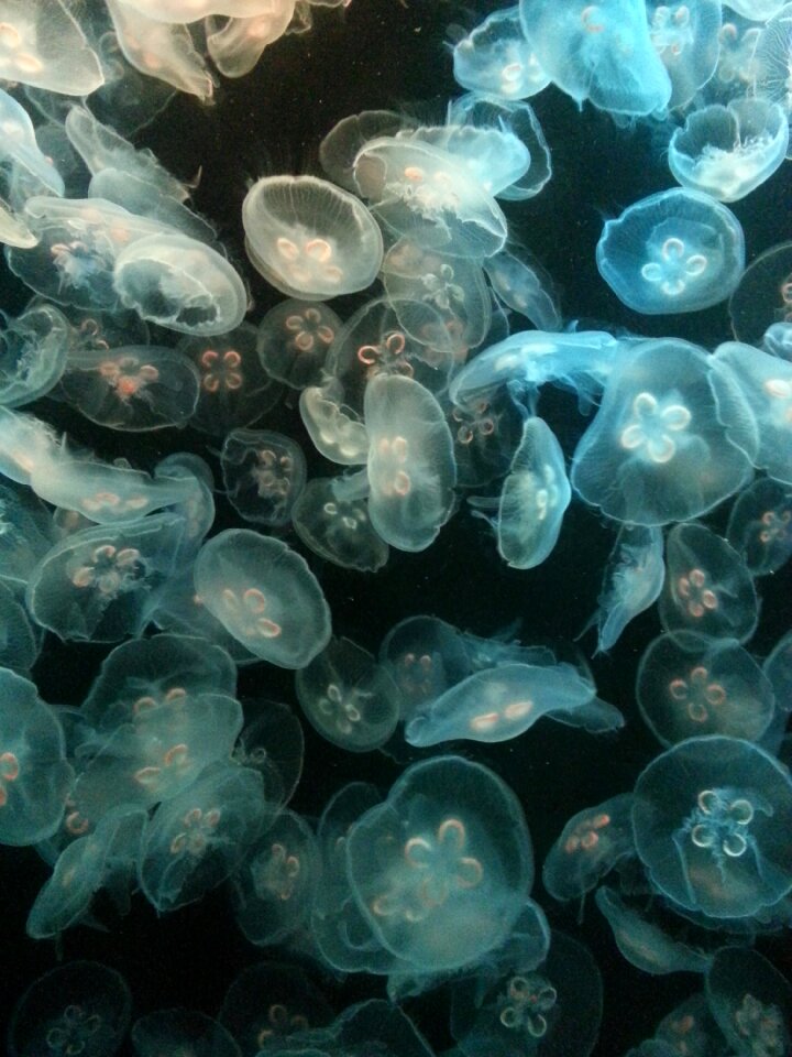 Underwater blue dark