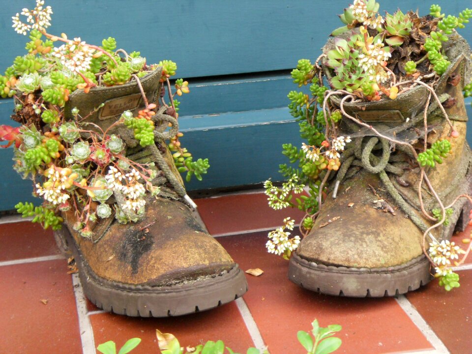 Nature flowers boots