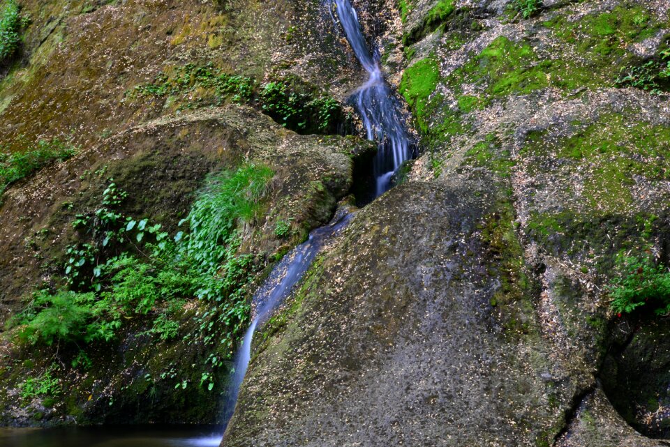 Rock moss mountain