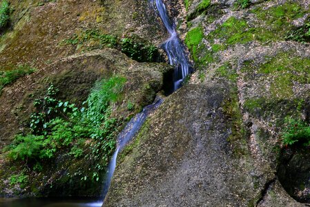 Rock moss mountain