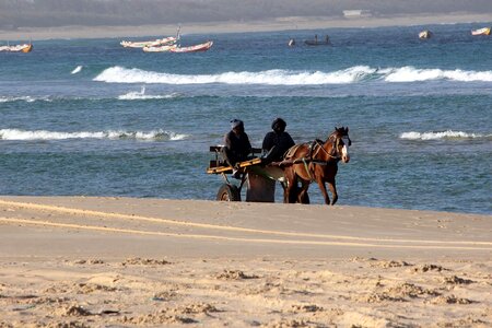 Horses waves senegal