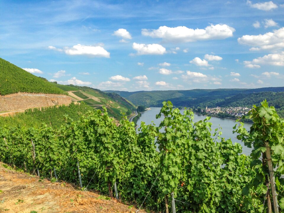 Germany river sachsen