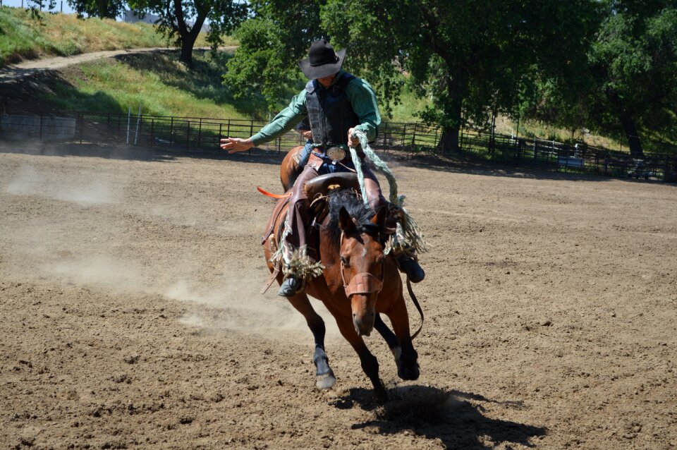 Horse western wild west
