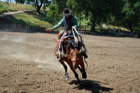 Horse western wild west