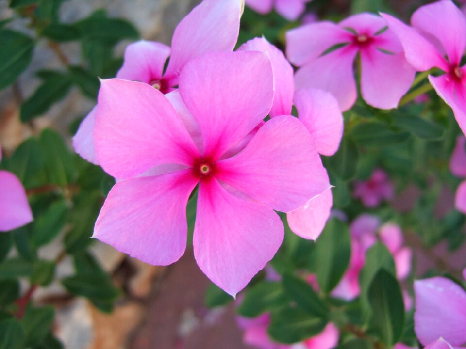 Beautiful summer greece