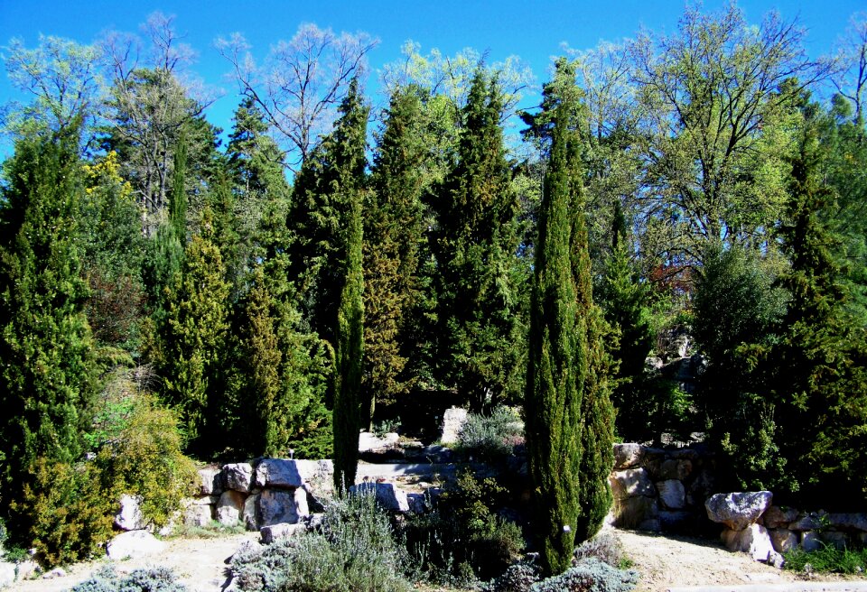 Rocks pecs botanical garden