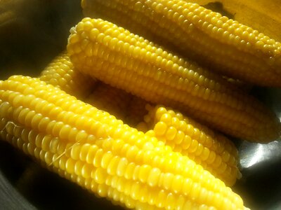 Vegetable sweet sweetcorn