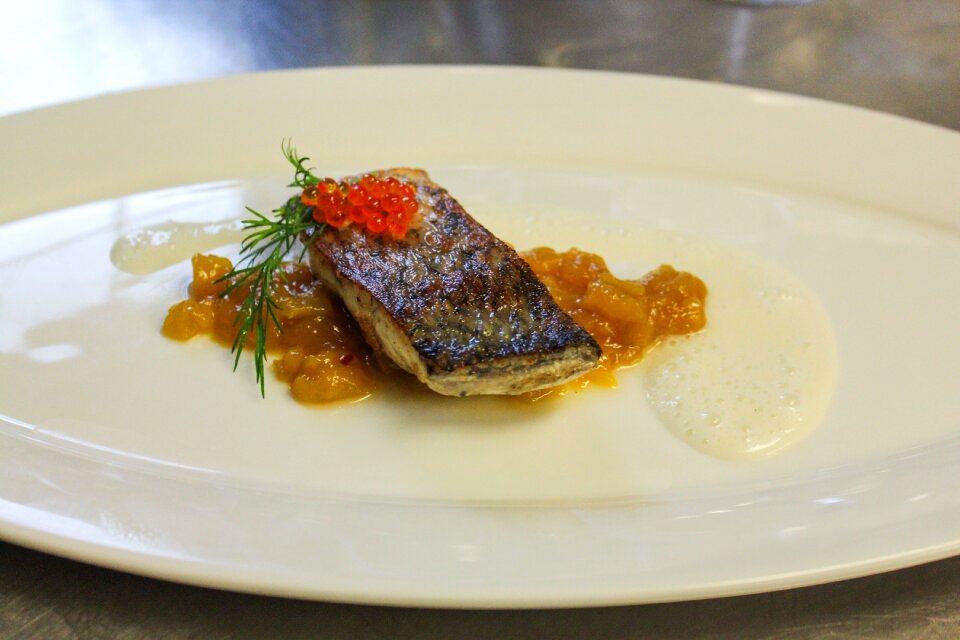 Fish dish delicious gourmet