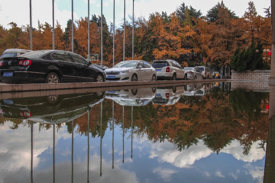 Reflection autumn