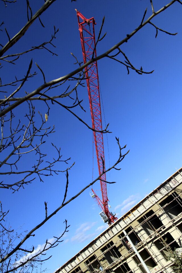 Sky tree