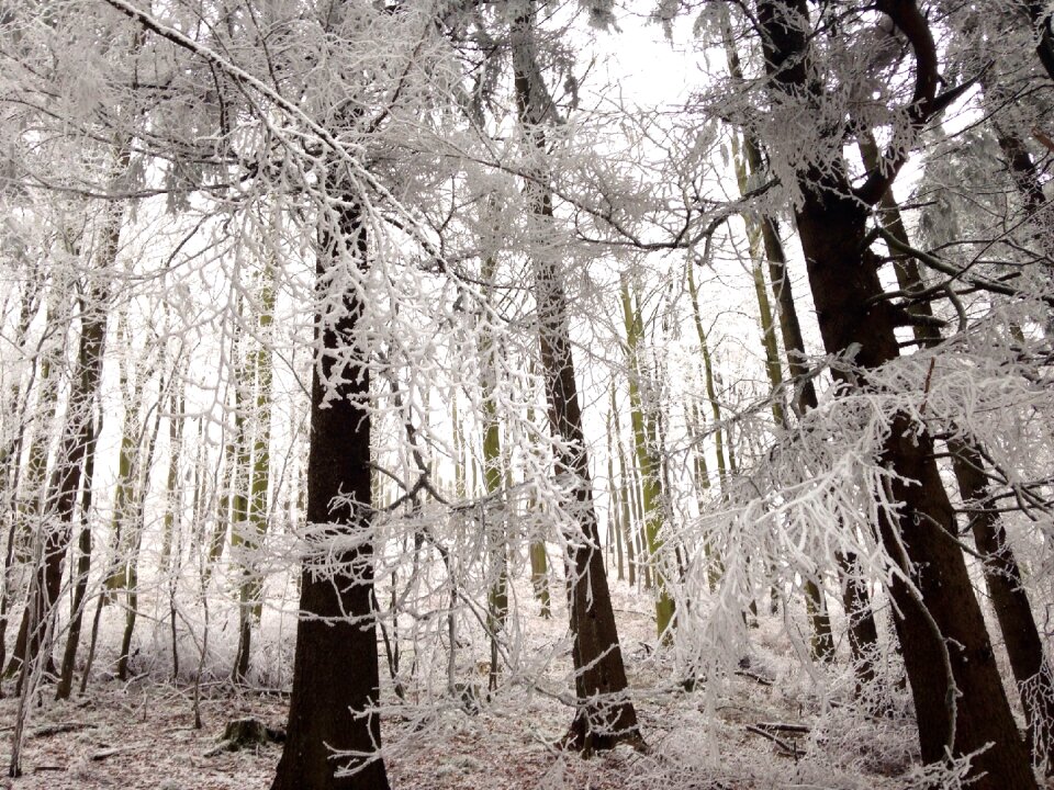 Winter wintry winter magic