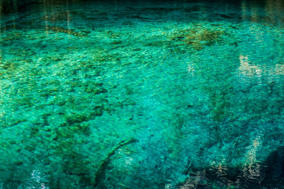 Lake nature mirroring