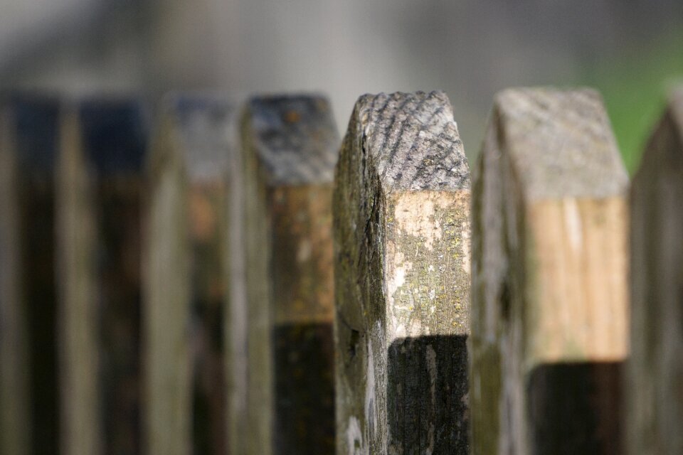 Battens brown limit