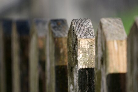 Battens brown limit