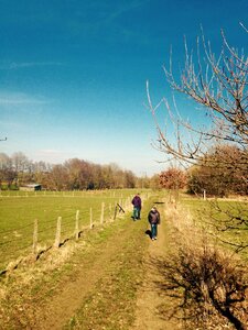 Landscape spring trail
