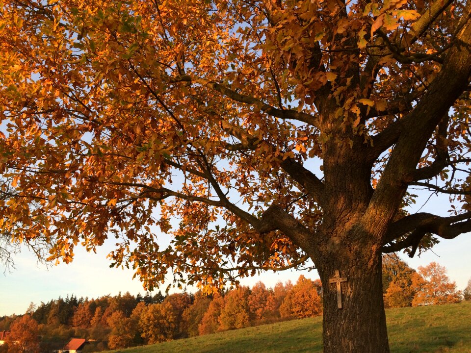 Landscape cross autumn