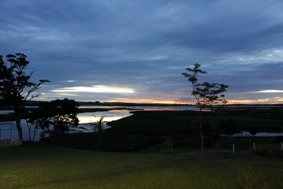 Nature landscape night