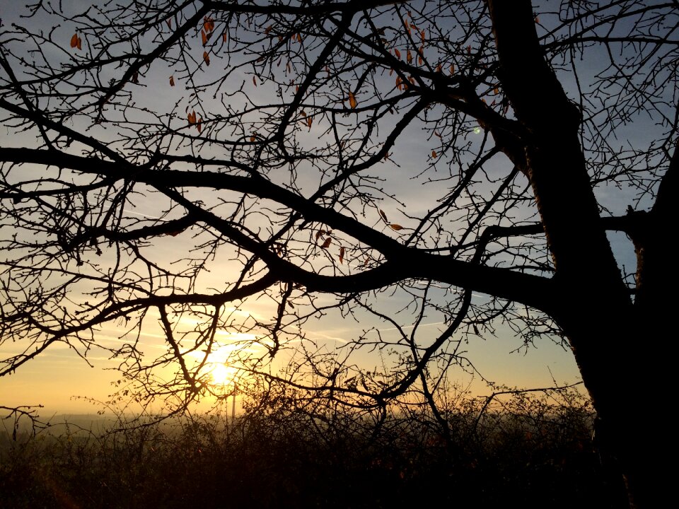 Sunset evening autumn