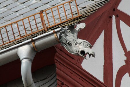Dragons rain gutter red