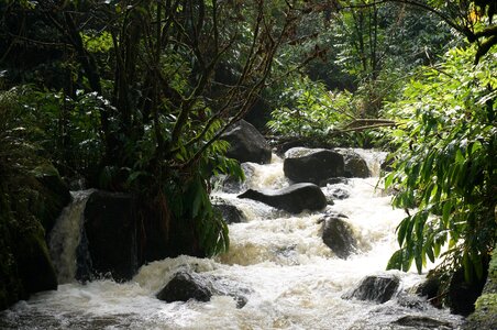 Waterfall green waterfall photo