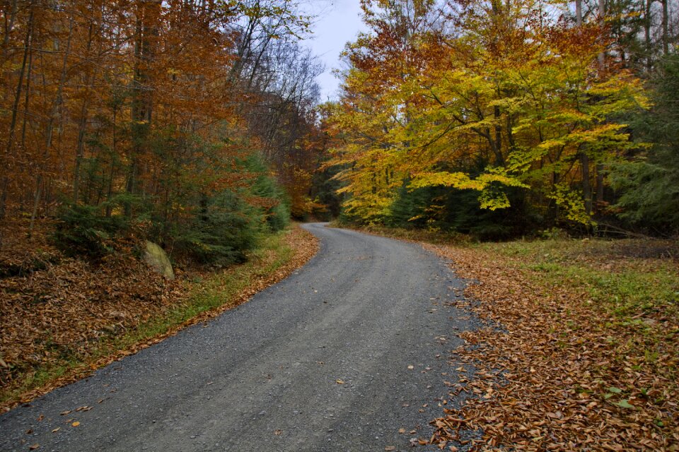 Background road country