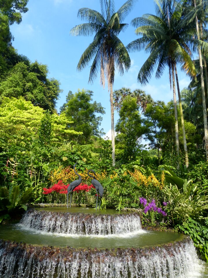 Garden tree flowers