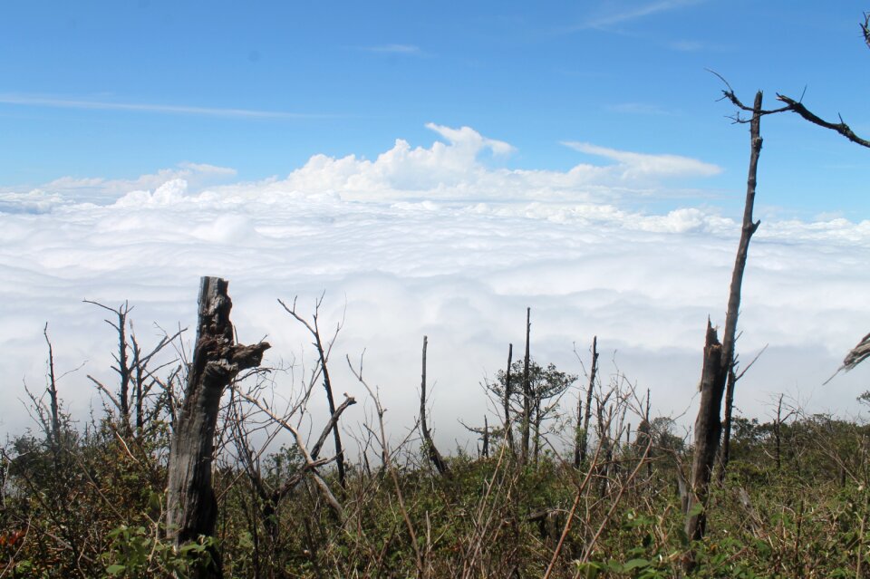Sky indonesia summer