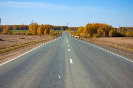 Yellow trees very nice siberia photo