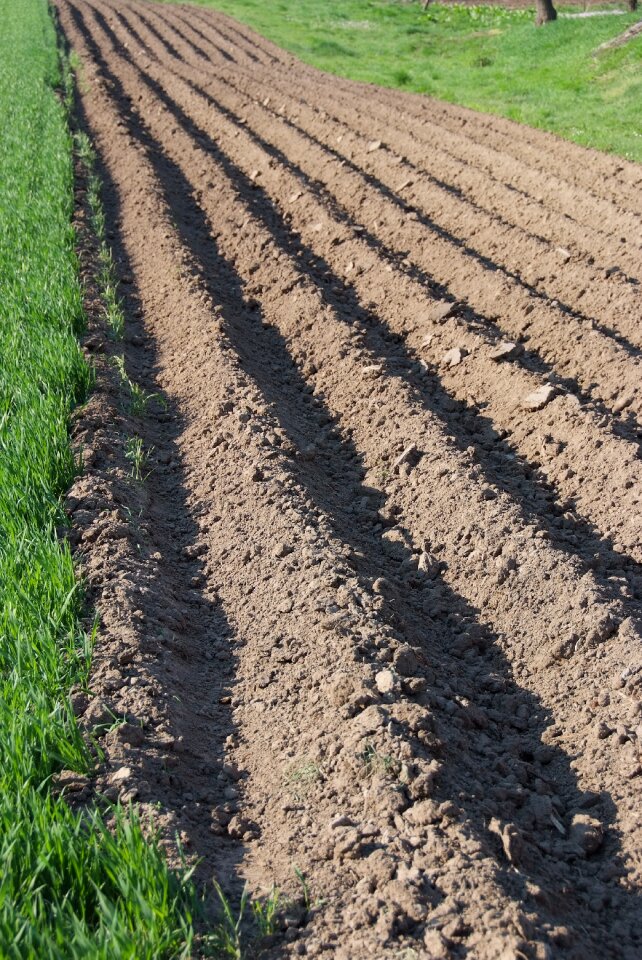 Plow furrow balk