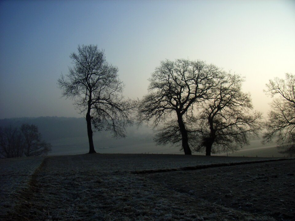 Fog sun cold