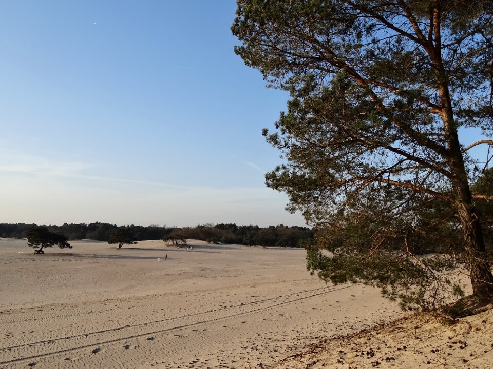 Landscape air spring