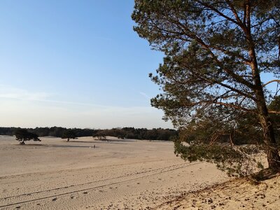 Landscape air spring