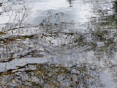 Nature water plan reflections