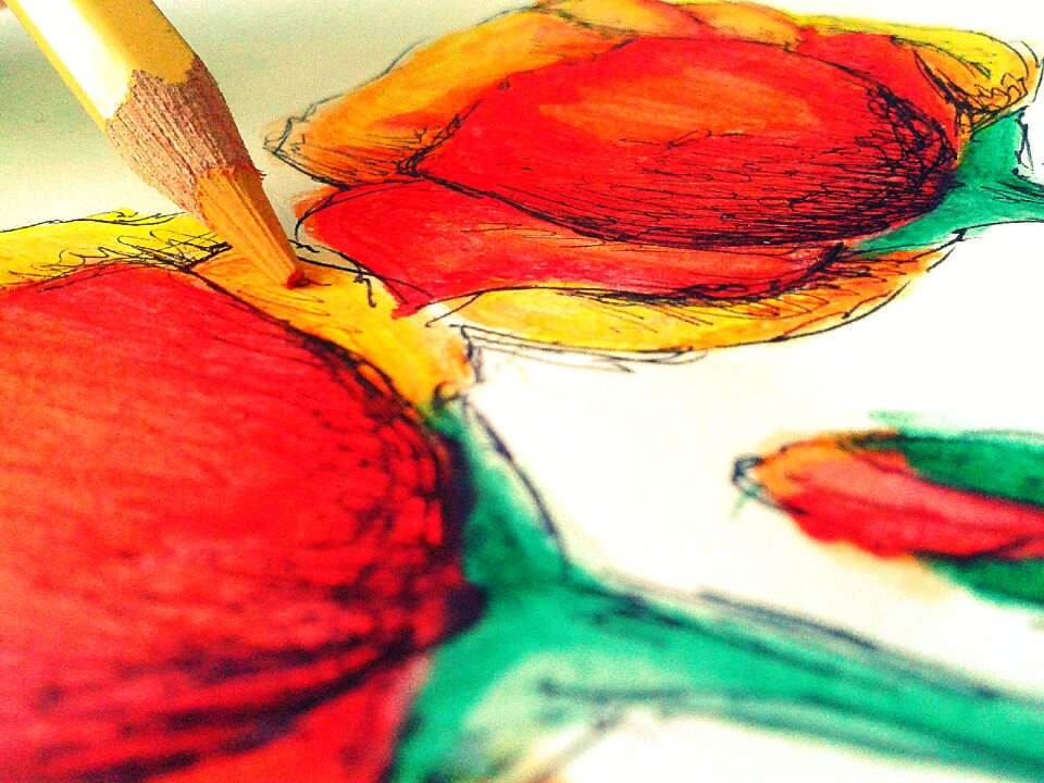Pencil colors paint