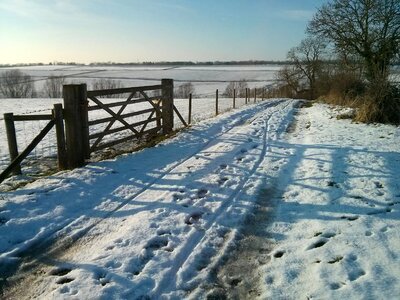 Gate fields photo