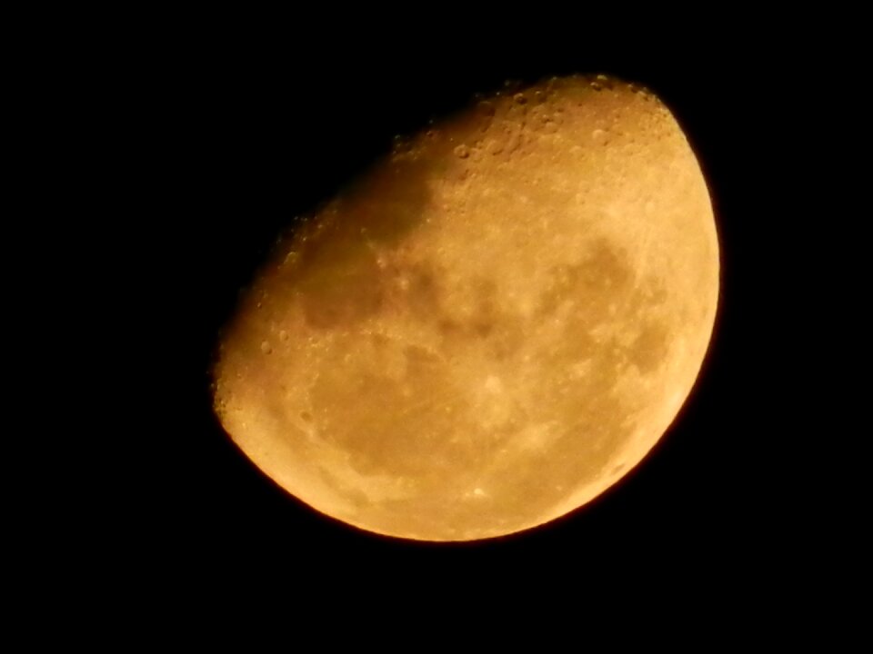Night nocturne dark