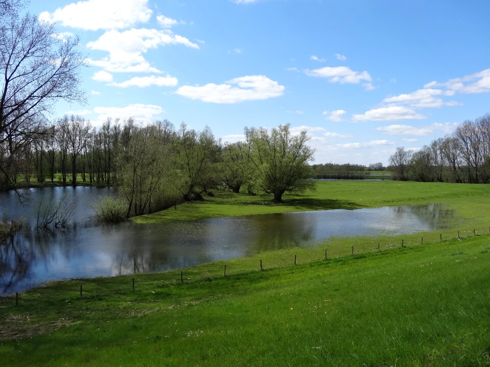 Blue heaven landscape