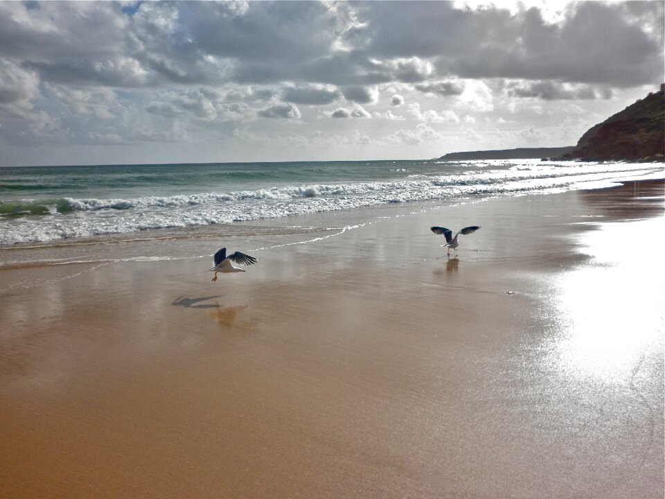 Sea beach sand