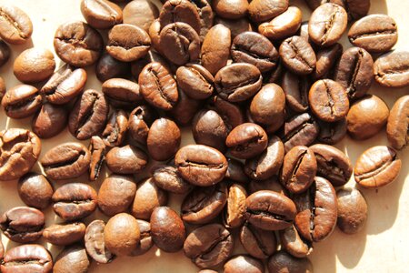 Coffee coffee bean coffee beans photo