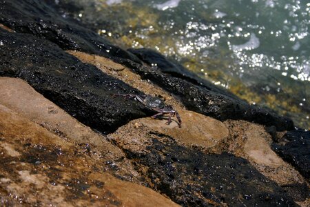 Ocean rocks