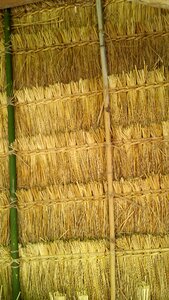 Thatched village travel